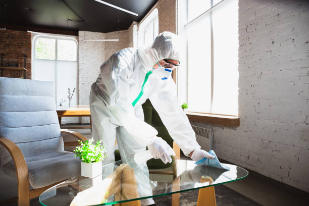 Why You Should Choose Our Mold Remediation Services in Water Mill, NY